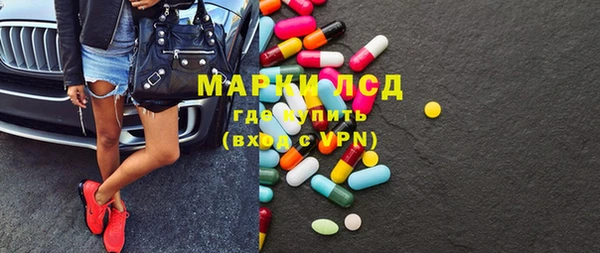 прущие грибы Алзамай