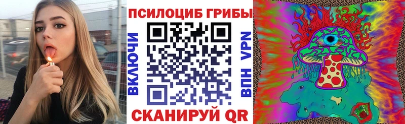 сколько стоит  KRAKEN ссылки  Галлюциногенные грибы Psilocybe  Дзержинск 
