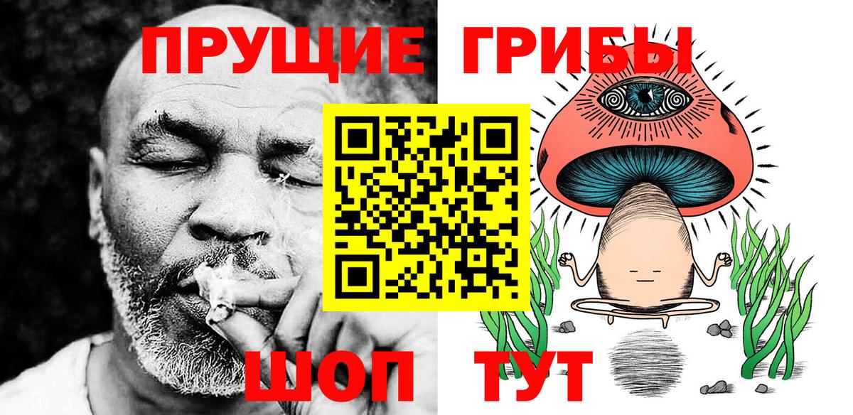 Псилоцибиновые грибы Psilocybe Дзержинск