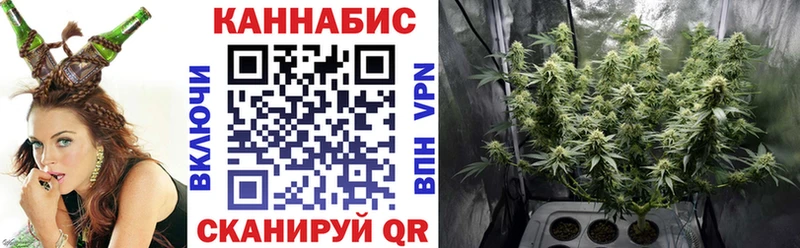 наркотики  Дзержинск  Марихуана план 